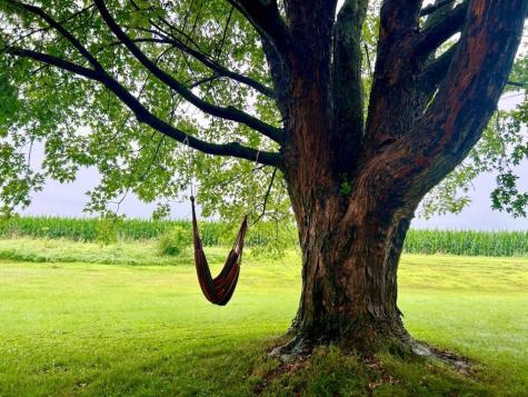 811 Lake Shore Drive Battle Lake MN 56515