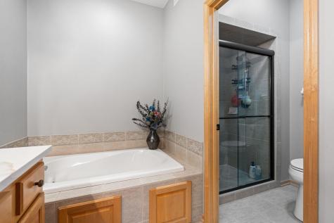 16794 Iredale Path Lakeville MN 55044