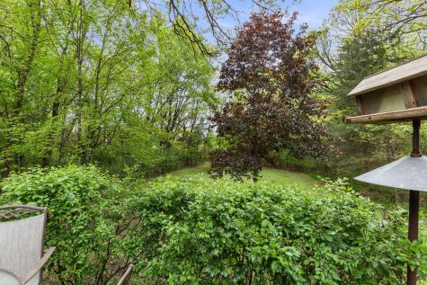 17187 166th Street SE Big Lake MN 55309
