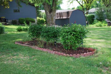 1524 N Park Street Fairmont MN 56031