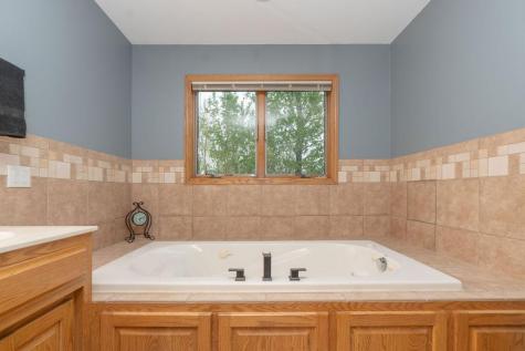 38177 Twin Oaks Drive Avon MN 56310