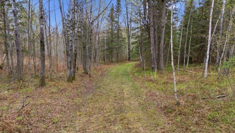 12502 Van Horn Road Floodwood MN 55736