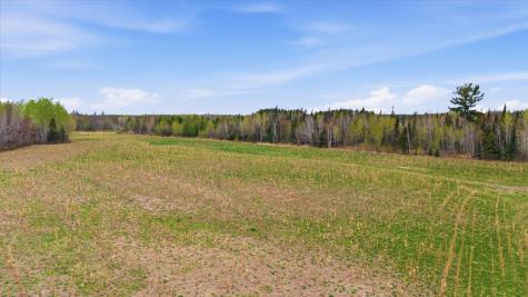 12502 Van Horn Road Floodwood MN 55736