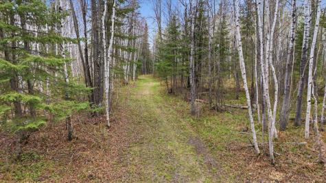 12502 Van Horn Road Floodwood MN 55736