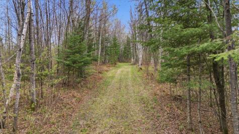 12502 Van Horn Road Floodwood MN 55736