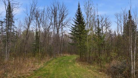12502 Van Horn Road Floodwood MN 55736