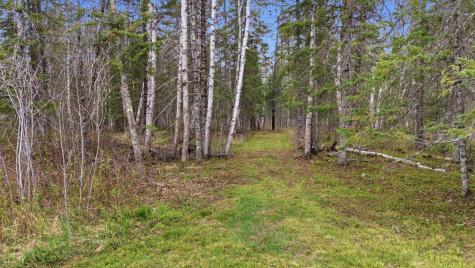12502 Van Horn Road Floodwood MN 55736