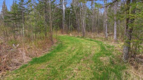 12502 Van Horn Road Floodwood MN 55736