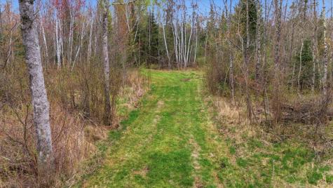 12502 Van Horn Road Floodwood MN 55736