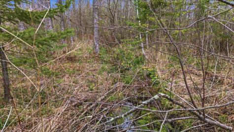 12502 Van Horn Road Floodwood MN 55736