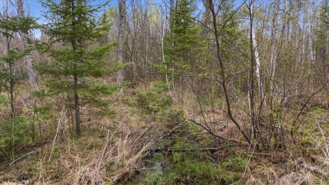 12502 Van Horn Road Floodwood MN 55736
