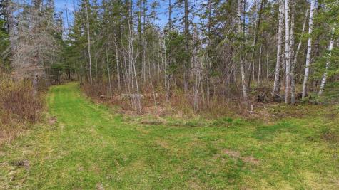 12502 Van Horn Road Floodwood MN 55736