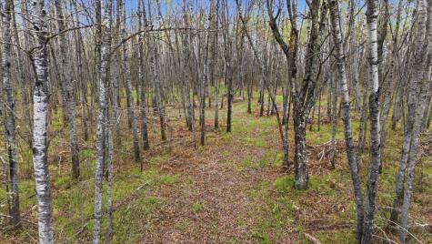 12502 Van Horn Road Floodwood MN 55736