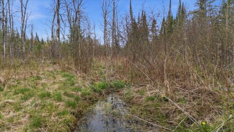 12502 Van Horn Road Floodwood MN 55736
