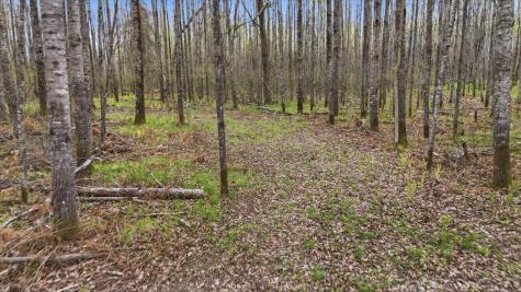 12502 Van Horn Road Floodwood MN 55736