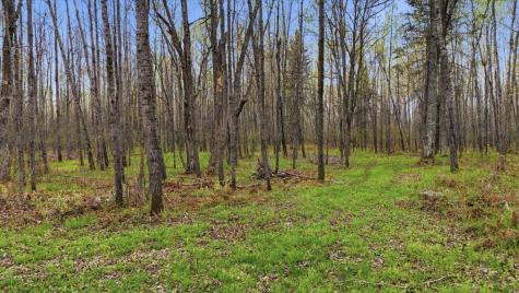 12502 Van Horn Road Floodwood MN 55736