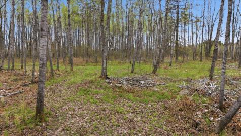 12502 Van Horn Road Floodwood MN 55736