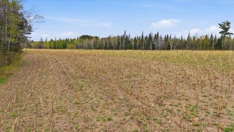 12502 Van Horn Road Floodwood MN 55736
