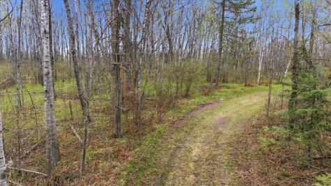 12502 Van Horn Road Floodwood MN 55736