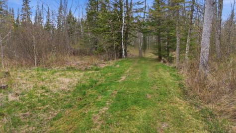 12502 Van Horn Road Floodwood MN 55736