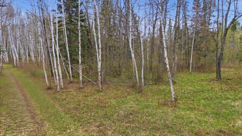 12502 Van Horn Road Floodwood MN 55736