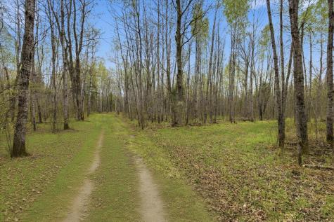 12502 Van Horn Road Floodwood MN 55736