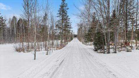 12502 Van Horn Road Floodwood MN 55736