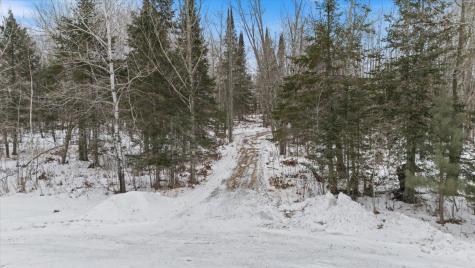 12502 Van Horn Road Floodwood MN 55736