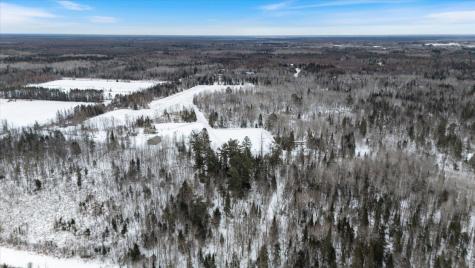 12502 Van Horn Road Floodwood MN 55736