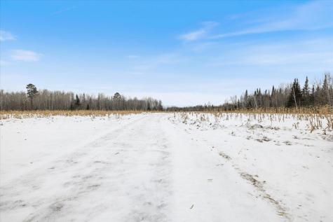 12502 Van Horn Road Floodwood MN 55736