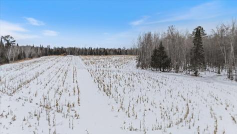 12502 Van Horn Road Floodwood MN 55736