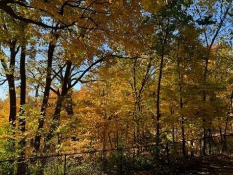 5129 Waterbury Road Mound MN 55364