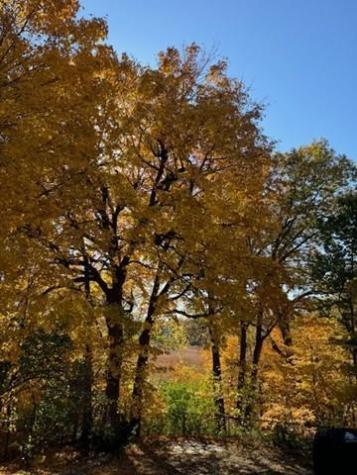 5129 Waterbury Road Mound MN 55364