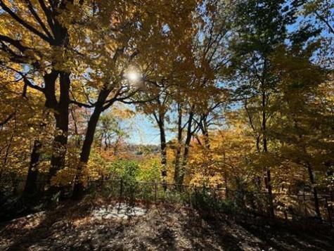 5129 Waterbury Road Mound MN 55364