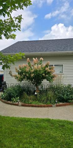 81990 558th Street Buffalo Lake MN 55314