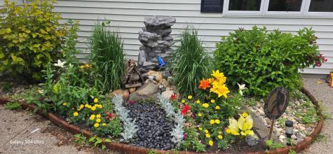81990 558th Street Buffalo Lake MN 55314