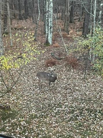 14475 County Road O Grantsburg WI 54840