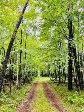 14475 County Road O Grantsburg WI 54840