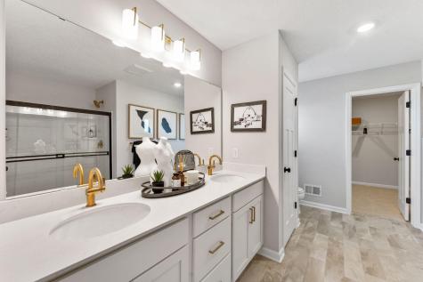 1141 Annagaire Curve Rosemount MN 55068