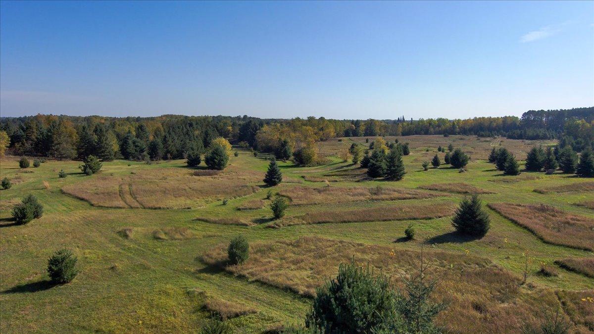 185 Crow Wing Lake Drive NE Akeley MN 56433