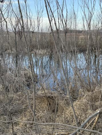982 County Road 10 NE Osakis MN 56360