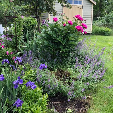 18850 Koetter Lake Road Richmond MN 56368