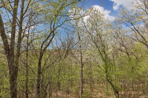 1405 Skyline Drive Golden Valley MN 55422