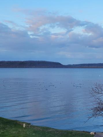 200 E Michigan Street Lake City MN 55041