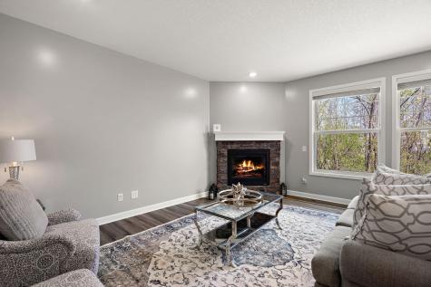 6674 Annabelle Court Hamel MN 55340