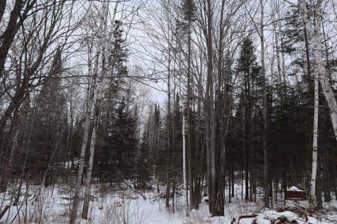 15939 County Road 536 Nashwauk MN 55769