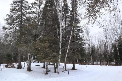 15939 County Road 536 Nashwauk MN 55769