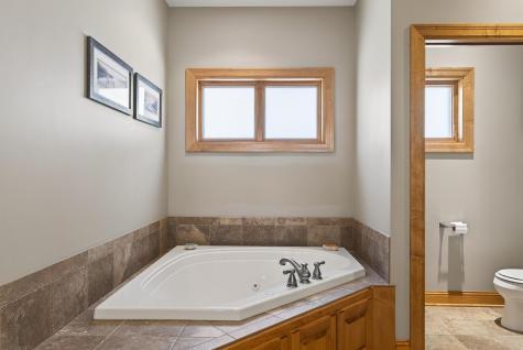 9951 Vagabond Court N Maple Grove MN 55311