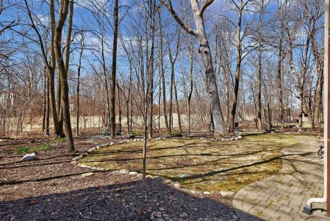 9951 Vagabond Court N Maple Grove MN 55311