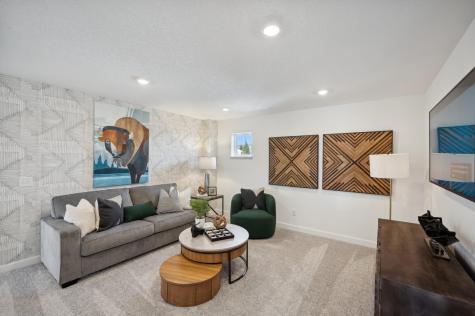 2517 Green Ash Avenue Shakopee MN 55379
